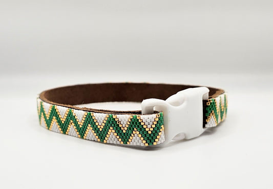 Fashion Dog Collar