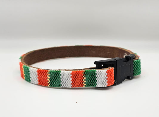 Fashion Dog Collar