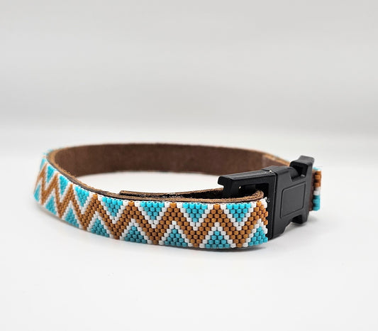 Fashion Dog Collar