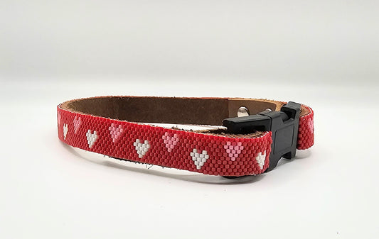 Fashion Dog Collar